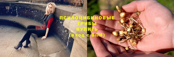 бошки Аркадак