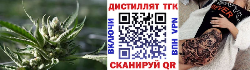 ТГК концентрат  Кадников 